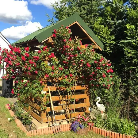 Domek letniskowy Letniskowe Malinka