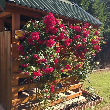 Letniskowe Malinka Dabki