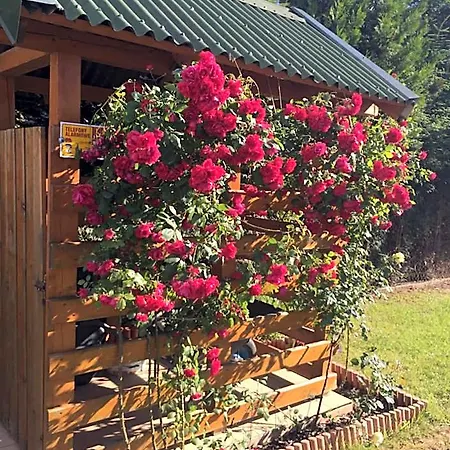 Lodge Letniskowe Malinka Dabki *