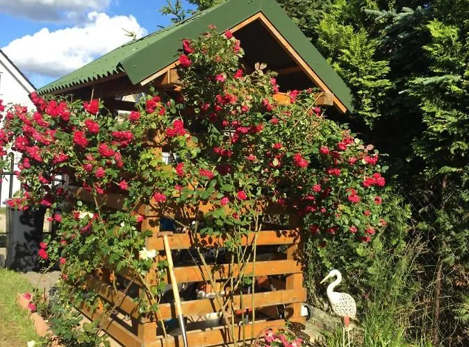 Lodge Letniskowe Malinka Dabki